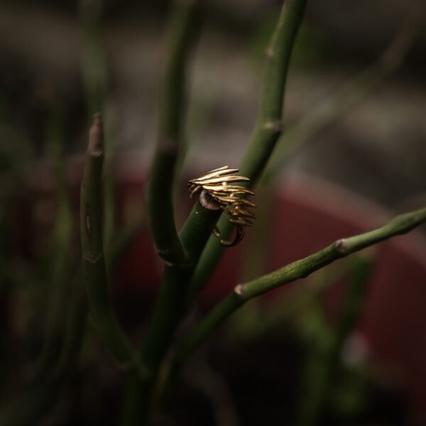 Adjustable Flare Gold Plated Ring